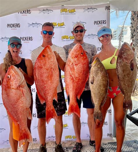 more fish| Fish Please: Everything You Need to Know .